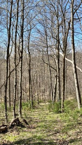 0 Dutch School Road, Dresden, OH 43821