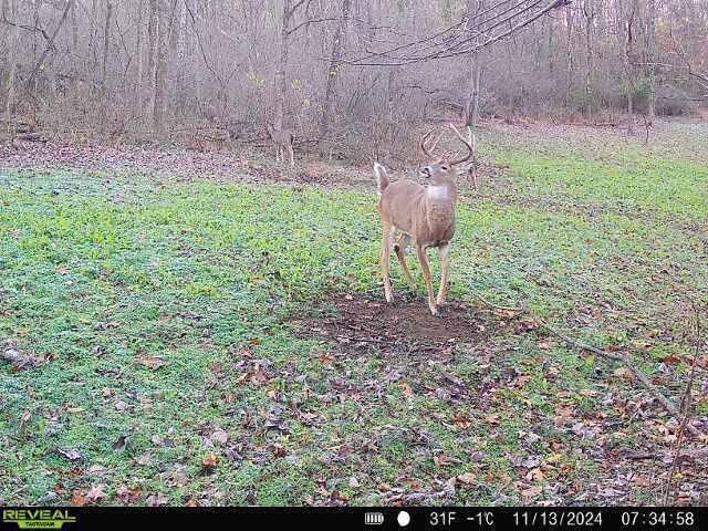 0 Dutch School Road, Dresden, OH 43821