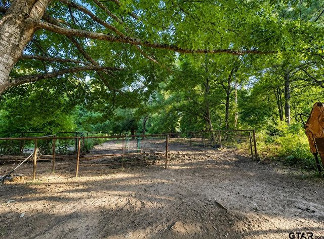1128 N CR 161 D, Overton, TX 75684
