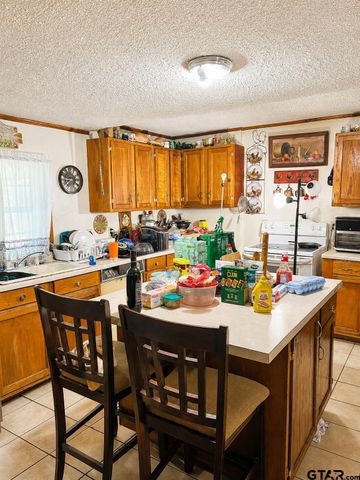 1128 N CR 161 D, Overton, TX 75684