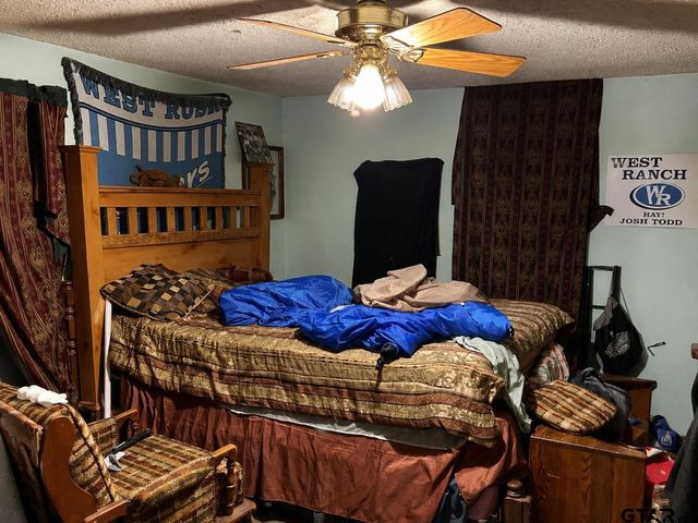 1128 N CR 161 D, Overton, TX 75684