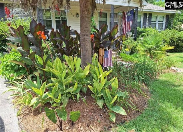 132 Backman Street, Lexington, SC 29072