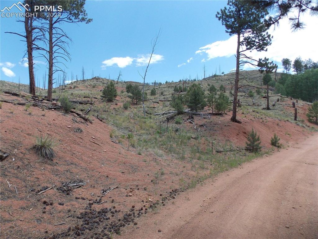 14691 Crooked Trail Road, Woodland Park, CO 80863 — exterior