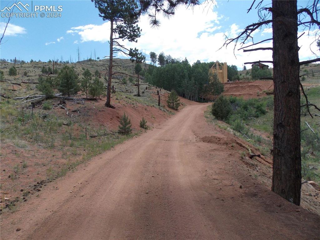 14691 Crooked Trail Road, Woodland Park, CO 80863 — photo 5