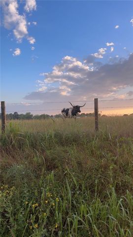 2525 North Meyersville Road, Brenham, TX 77833