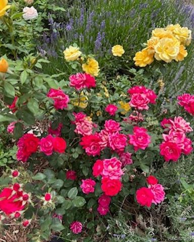 9951 Yates Street, Westminster, CO 80031