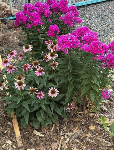 9951 Yates Street, Westminster, CO 80031