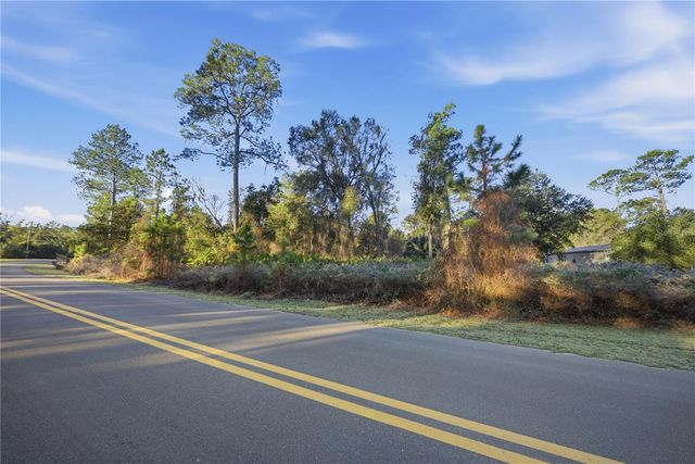 201 PLUMOSA DRIVE, Georgetown, FL 32139