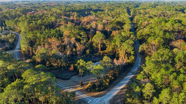 201 PLUMOSA DRIVE, Georgetown, FL 32139