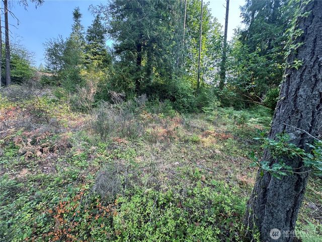 0 Northcliff Road, Shelton, WA 98584