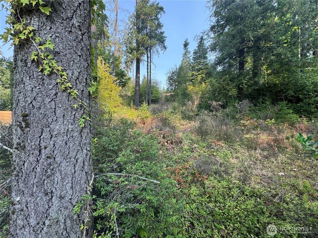 0 Northcliff Road, Shelton, WA 98584