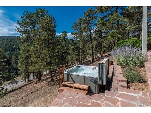 22594 Treetop Ln, Golden, CO 80401