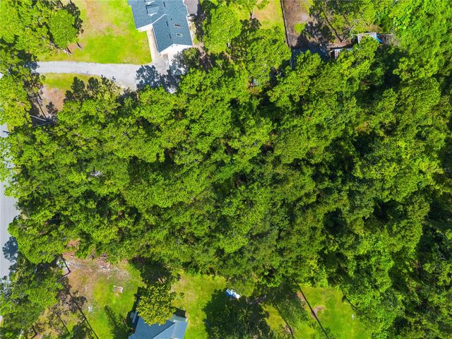 MUSTANG, St Cloud, FL 34771