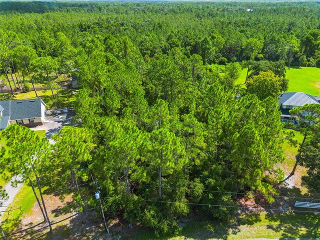MUSTANG, St Cloud, FL 34771