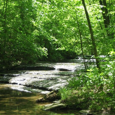 6438 Old Clarksville Pike, Joelton, TN 37080
