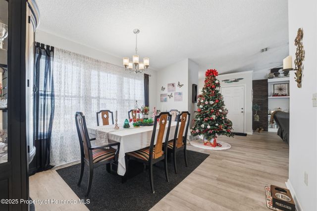 3366 Bluefish Drive Drive, Hernando Beach, FL 34607