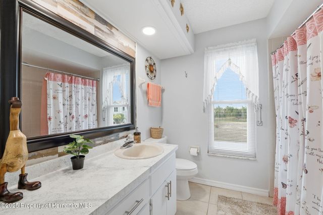 3366 Bluefish Drive Drive, Hernando Beach, FL 34607