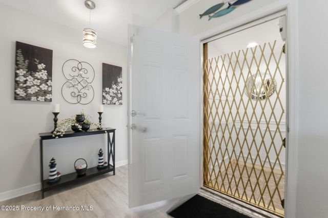 3366 Bluefish Drive Drive, Hernando Beach, FL 34607