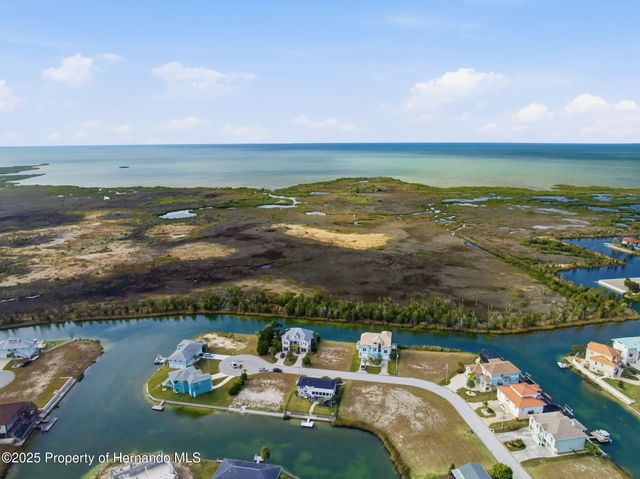 3366 Bluefish Drive Drive, Hernando Beach, FL 34607