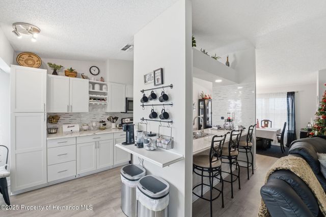 3366 Bluefish Drive Drive, Hernando Beach, FL 34607