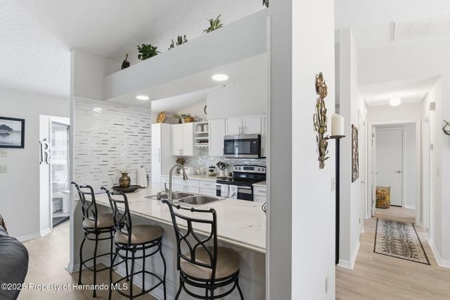 3366 Bluefish Drive Drive, Hernando Beach, FL 34607