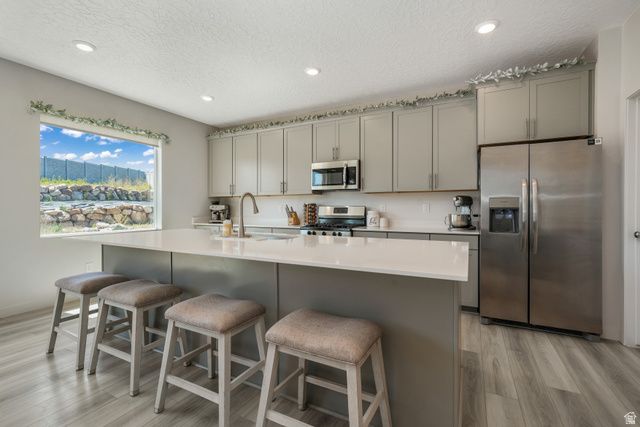 537 W FLORA DR, Saratoga Springs, UT 84045