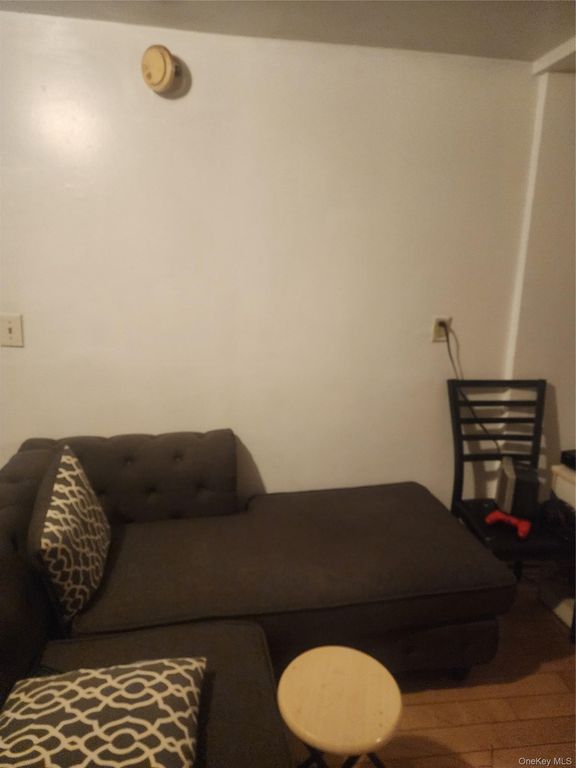 27 Milford Street, Brooklyn, NY 11208 — photo 4