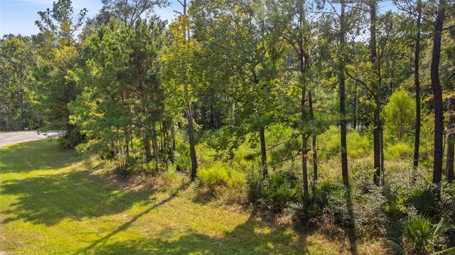 10 Oakwood Lane, Huntsville, TX 77340