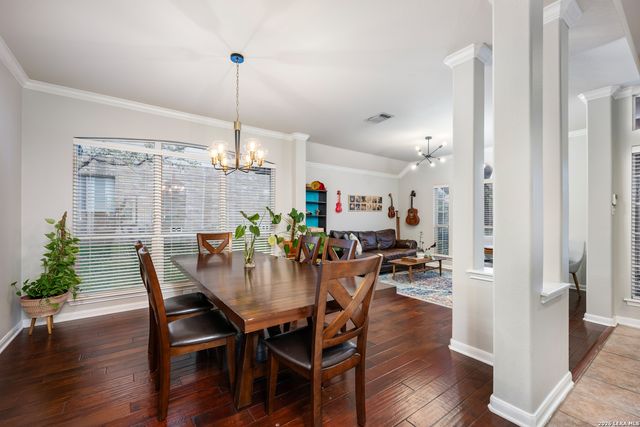 23607 Alpine Ridge, San Antonio, TX 78258