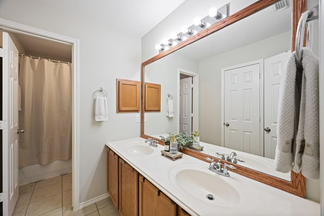 17314 Megan Springs Drive, Spring, TX 77379