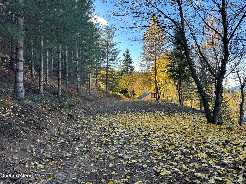 NKA Presley Ave., Kellogg, ID 83837 photo 10