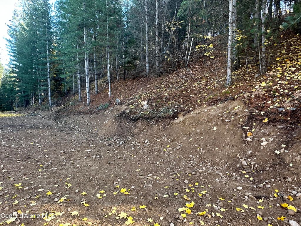 NKA Presley Ave., Kellogg, ID 83837 photo 12