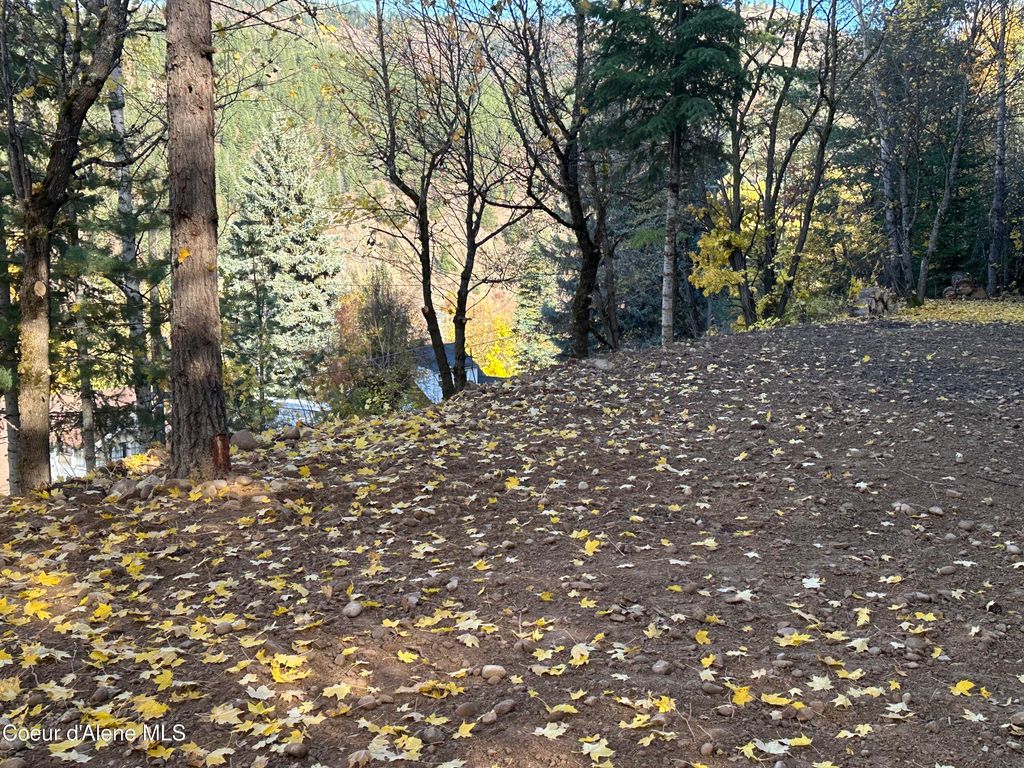 NKA Presley Ave., Kellogg, ID 83837 photo 14