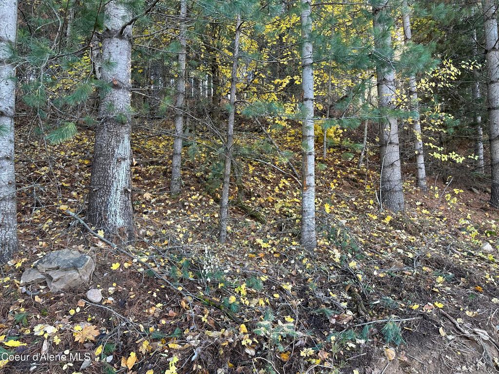 NKA Presley Ave., Kellogg, ID 83837 photo 16