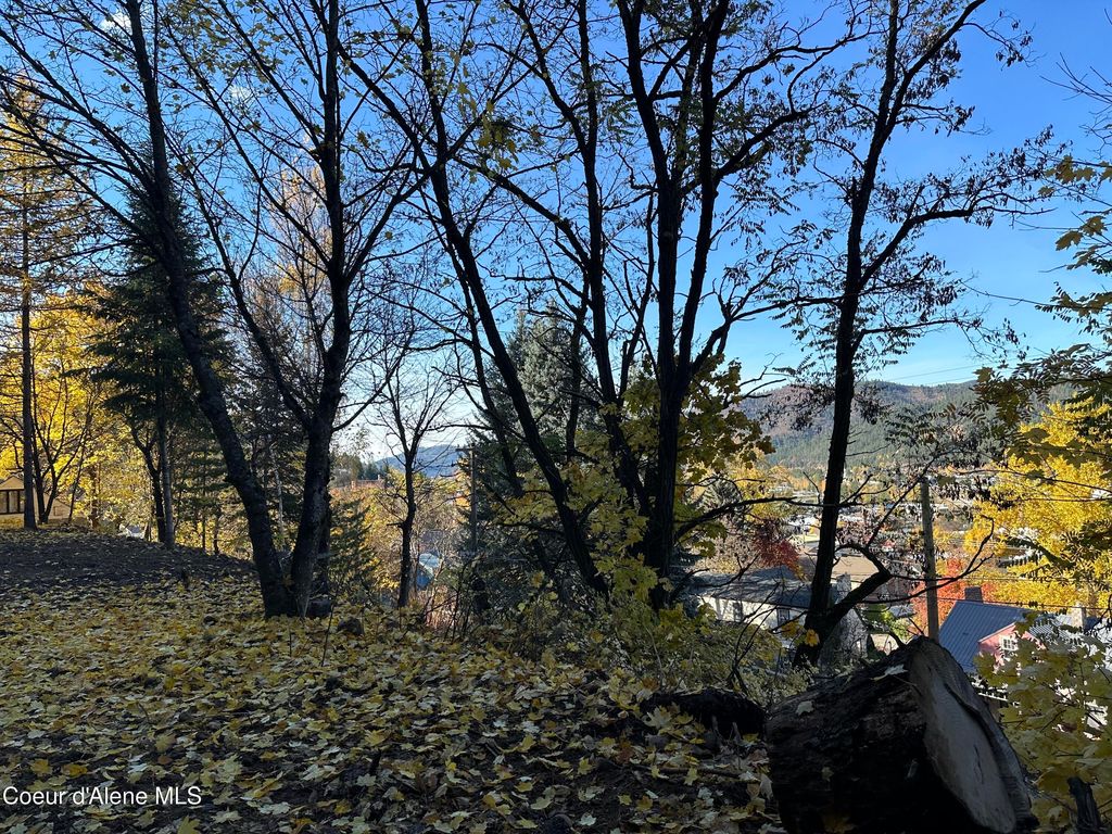 NKA Presley Ave., Kellogg, ID 83837 photo 7