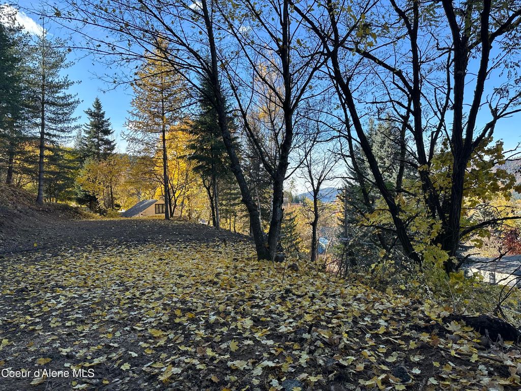 NKA Presley Ave., Kellogg, ID 83837 photo 9