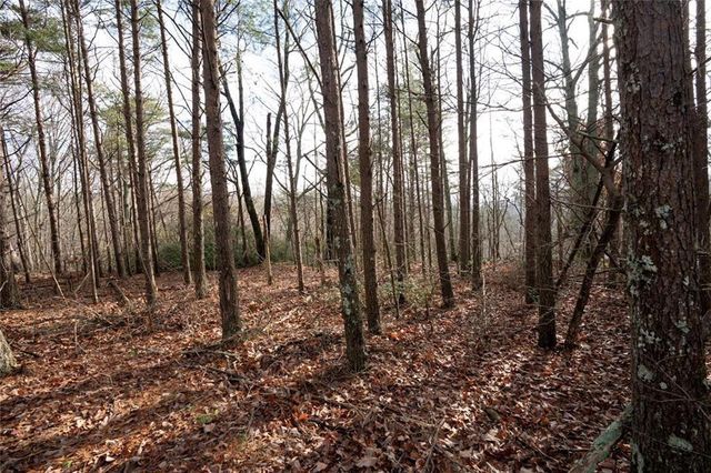 1 Amber Court, Jasper, GA 30143