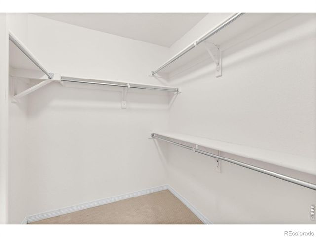 2335 Provenance Street, Longmont, CO 80504