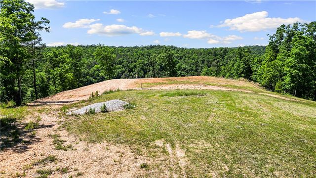 17.1 Acres Knabenschuh Drive, Garfield, AR 72732