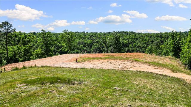 17.1 Acres Knabenschuh Drive, Garfield, AR 72732