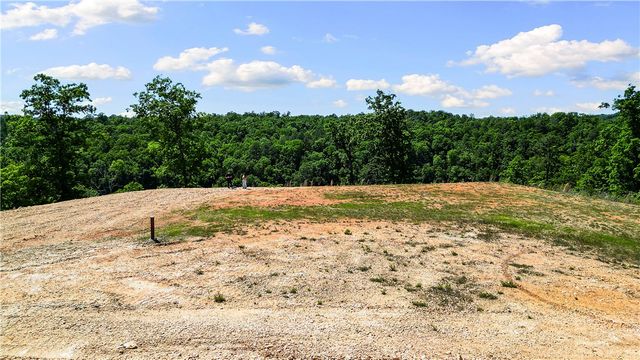 17.1 Acres Knabenschuh Drive, Garfield, AR 72732