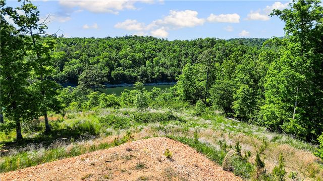 17.1 Acres Knabenschuh Drive, Garfield, AR 72732
