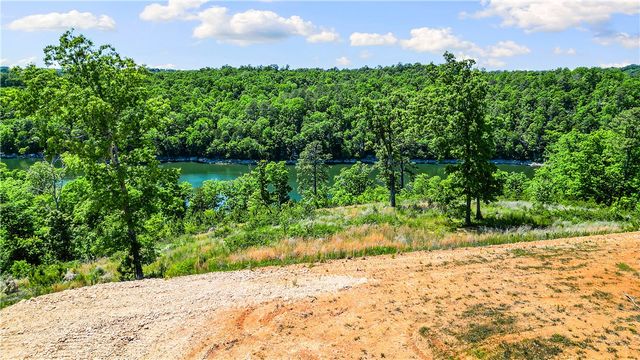 17.1 Acres Knabenschuh Drive, Garfield, AR 72732
