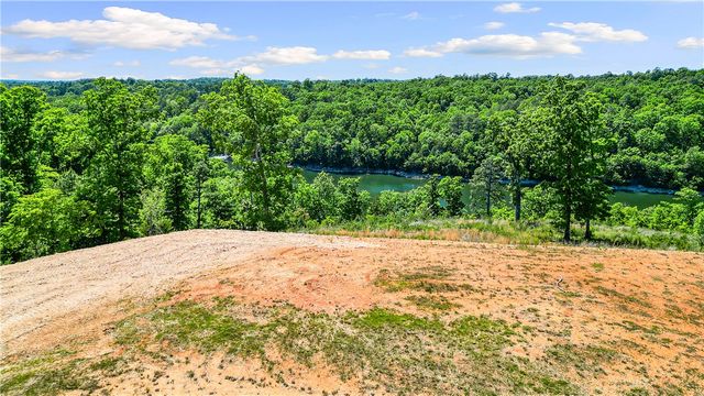 17.1 Acres Knabenschuh Drive, Garfield, AR 72732