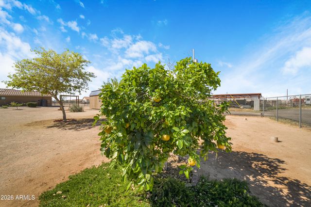 13105 S 209th Lane, Buckeye, AZ 85326