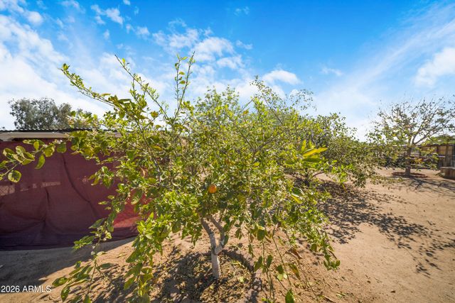 13105 S 209th Lane, Buckeye, AZ 85326