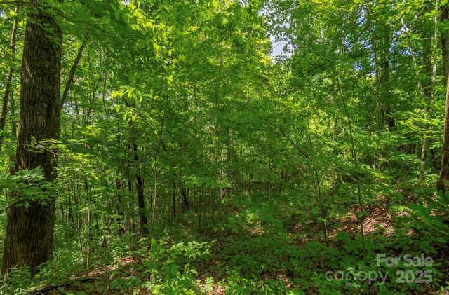 99999 Sara Ridge Road 32C, Waynesville, NC 28786