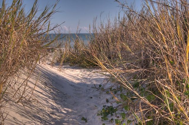 5407 Pheasant Dr., North Myrtle Beach, SC 29582