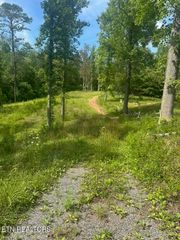 Long Branch Rd Off Rd, Del Rio, TN 37727