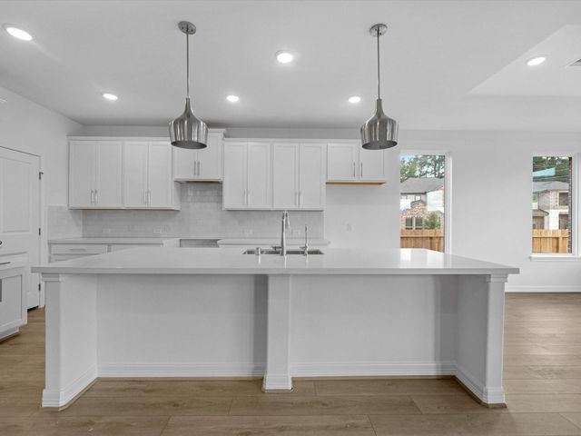 24342 Ponds Creek Court, Magnolia, TX 77355
